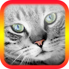 Скачать Translator for Cats Prank [МОД: Все открыто, Дополнительные деньги и Меню MOD] | Взлом Translator for Cats Prank на Андроид