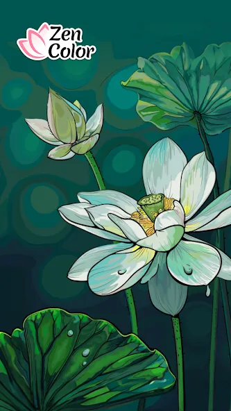 Zen Color - Color By Number (Зен Колор) [МОД: Бесконечные деньги, Монеты и Мега MOD] Screenshot 1