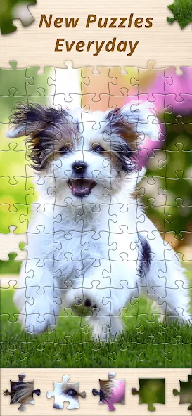 Jigsaw Premium Puzzles HD (Джигсоу) [МОД: Все открыто, Дополнительные деньги и Меню MOD] Screenshot 5