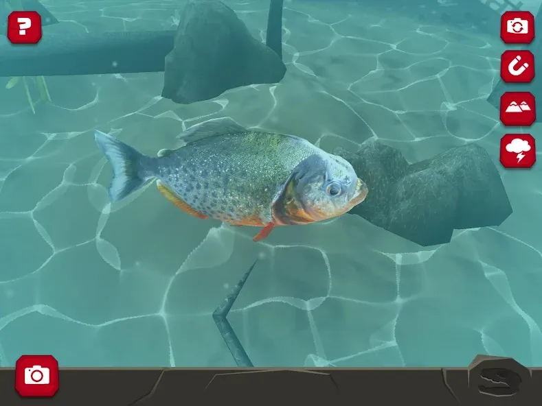 Legendary Creatures (Существо Легендарные) [MOD: Все разблокировано] - Скриншот 2