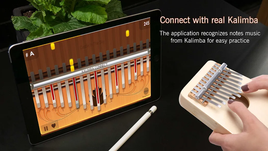 Kalimba Connect (Калимба Коннект) [МОД: Много монет, Открытые уровни и Мега MOD] Screenshot 1