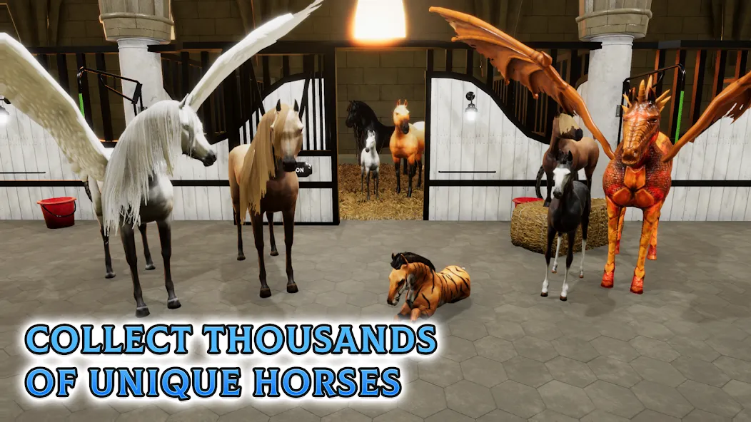 Horse Academy - Equestrian MMO (Хорс Академи) [МОД: Много денег, Монет и Все открыто] Screenshot 5