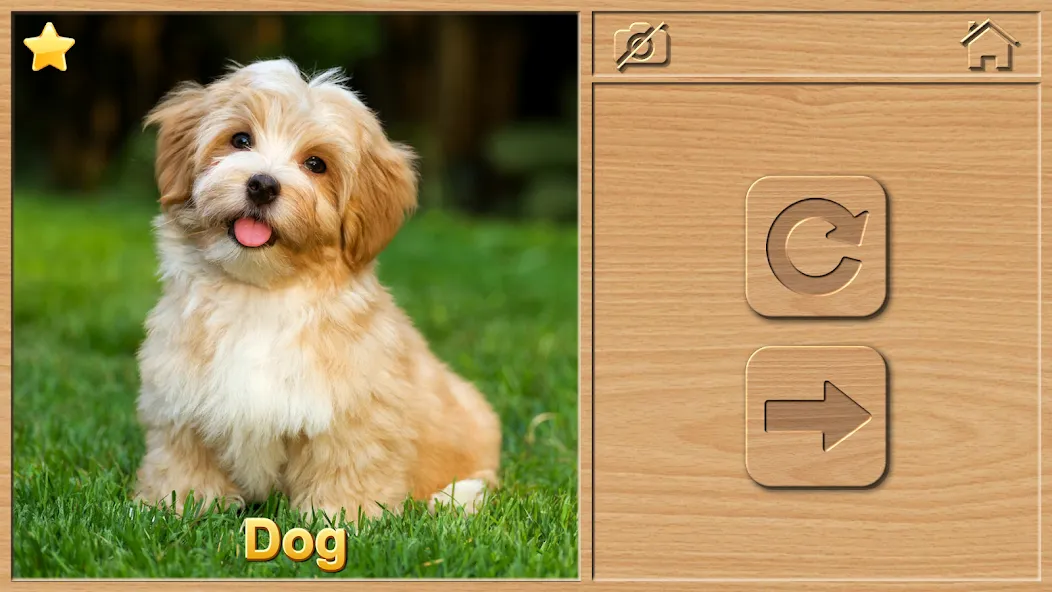 Animal Puzzles for Kids [МОД: Деньги, Монеты и Меню MOD] Screenshot 2