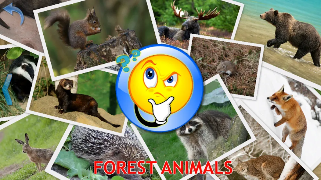Animals for Kids [МОД: Деньги, Монеты и Меню MOD] Screenshot 5