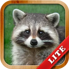 Скачать Animals for Kids [МОД: Деньги, Монеты и Меню MOD] | Взлом Animals for Kids на Андроид