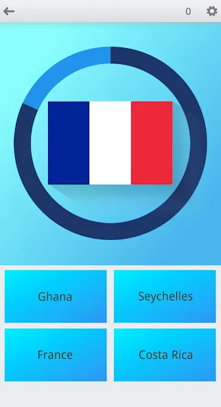 Flags On the Globe [МОД: Много монет, Открытые уровни и Мега MOD] Screenshot 3