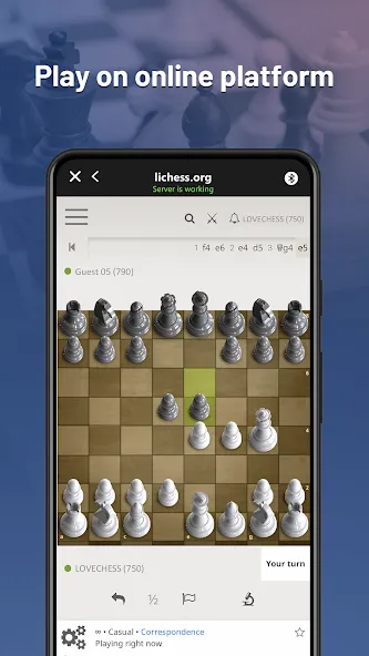 Chessnut (Честнат) [МОД: Много монет, Открытые уровни и Мега MOD] Screenshot 2