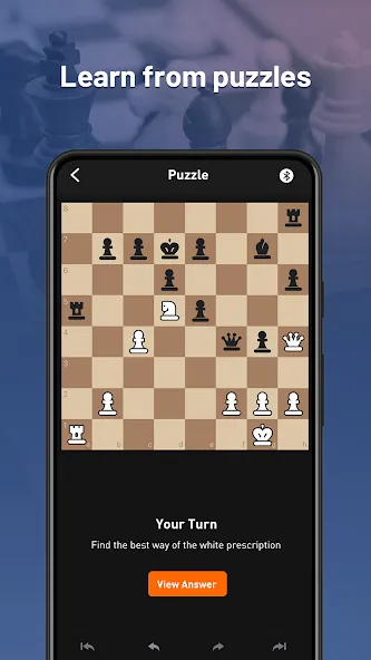 Chessnut (Честнат) [МОД: Много монет, Открытые уровни и Мега MOD] Screenshot 3