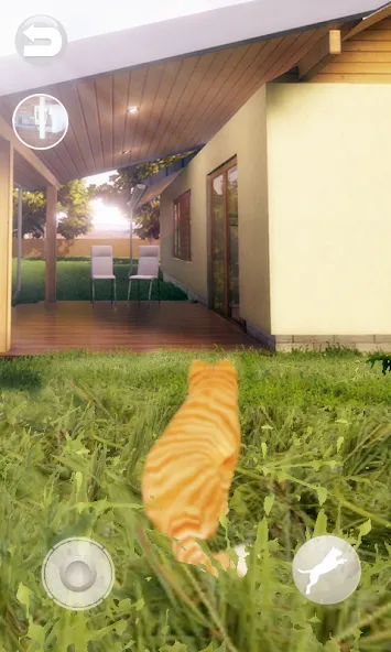 Talking Lovely Cat [МОД: Деньги, Монеты и Меню MOD] Screenshot 2