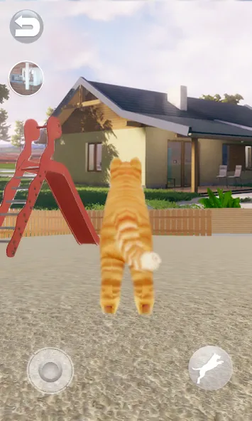 Talking Lovely Cat [МОД: Деньги, Монеты и Меню MOD] Screenshot 4