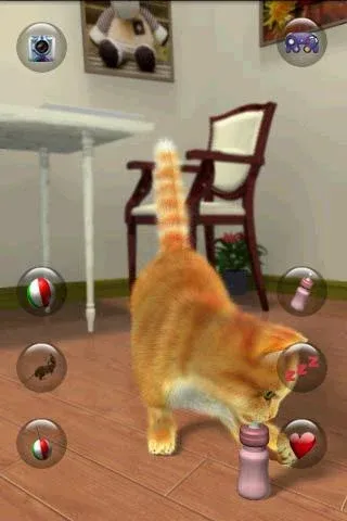 Talking Lovely Cat [МОД: Деньги, Монеты и Меню MOD] Screenshot 5