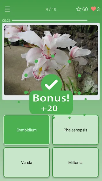 Quiz: Flowers, Plants [МОД: Все открыто, Дополнительные деньги и Меню MOD] Screenshot 2
