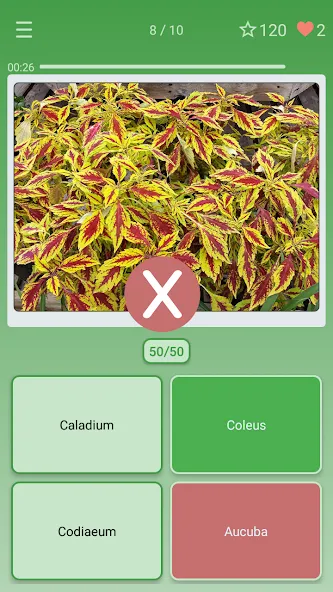 Quiz: Flowers, Plants [МОД: Все открыто, Дополнительные деньги и Меню MOD] Screenshot 3