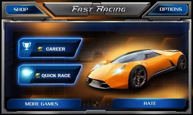     3D - Fast Racing (  )  