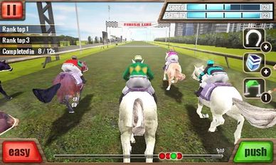    3D - Horse Racing (  )  