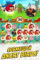   Angry Birds Fight! RPG Puzzle (  )  