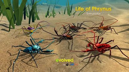   Life of Phrynus - Whip Spider (  )  