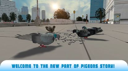   Flying Bird Pigeon Simulator 2 (  )  