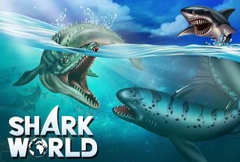   Shark World (  )  