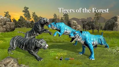   Tigers of the Forest (  )  