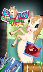   Pony Pregnancy Maternity (  )  