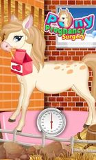   Pony Pregnancy Maternity (  )  