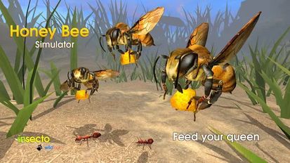   Honey Bee Simulator (  )  