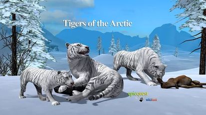   Tigers of the Arctic (  )  