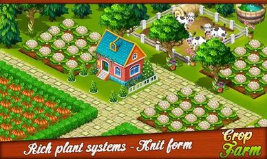   Crop Farm (  )  