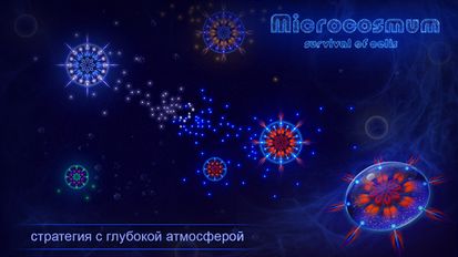   Microcosmum: survival of cells (  )  