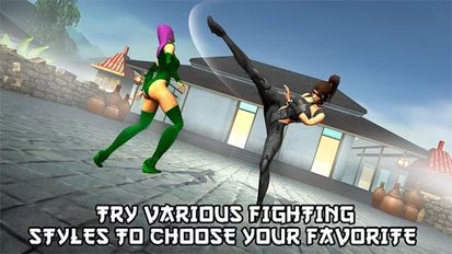  Ninja Kung Fu Fighting 3D  2 (  )  