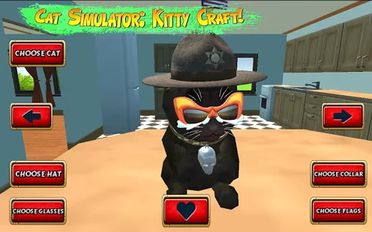   Cat Simulator : Kitty Craft (  )  
