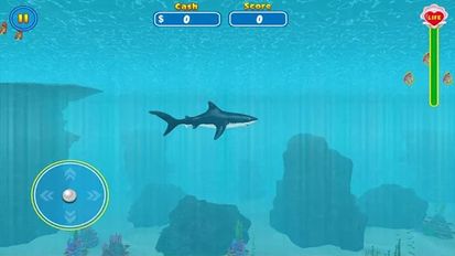   Shark Attack Wild Simulator (  )  