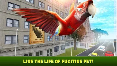   City Bird Parrot Simulator 3D (  )  