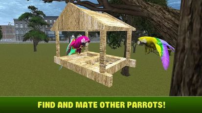   City Bird Parrot Simulator 3D (  )  