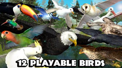 Скачать взломанную Ultimate Bird Simulator (Мод все открыто) на Андроид