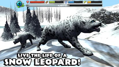   Snow Leopard Simulator (  )  