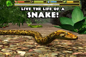   Snake Simulator (  )  