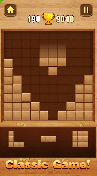  Wood Block Puzzle ( )  