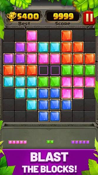  Block Puzzle Guardian ( )  