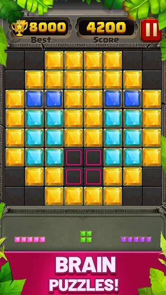  Block Puzzle Guardian ( )  