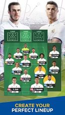   Real Madrid Fantasy Manager'17 (  )  