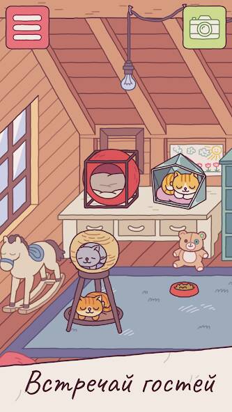   : The Grand Meow ( )  