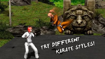   Karate Fighting Tiger 3D (  )  