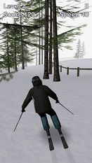   Alpine Ski III (  )  