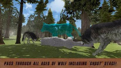   Wild Life: Wolf Quest (  )  