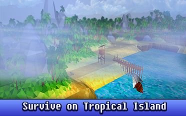   Craft Island Survival 3D (  )  