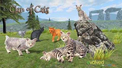   Clan of Cats (  )  