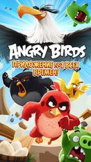   Angry Birds (  )  